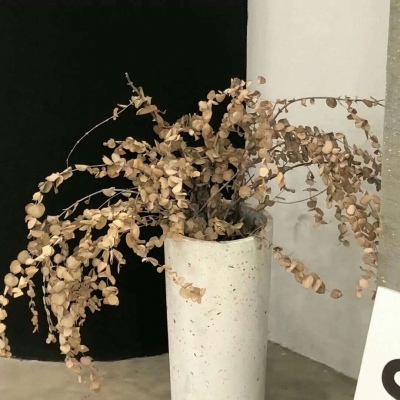 福清福瑞交流群